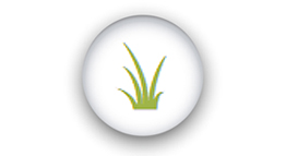 Grass Cutting icon
